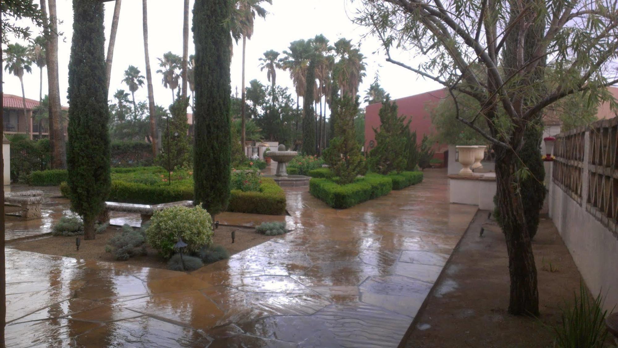 Esplendor Resort At Rio Rico Exteriér fotografie